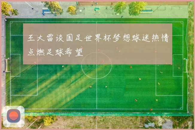 王大雷谈国足世界杯梦想球迷热情点燃足球希望