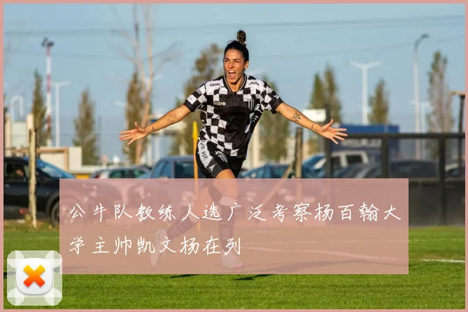 公牛队教练人选广泛考察杨百翰大学主帅凯文杨在列