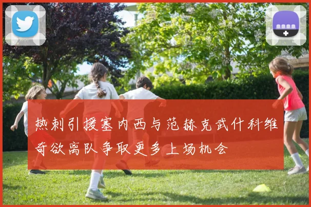 热刺引援塞内西与范赫克武什科维奇欲离队争取更多上场机会